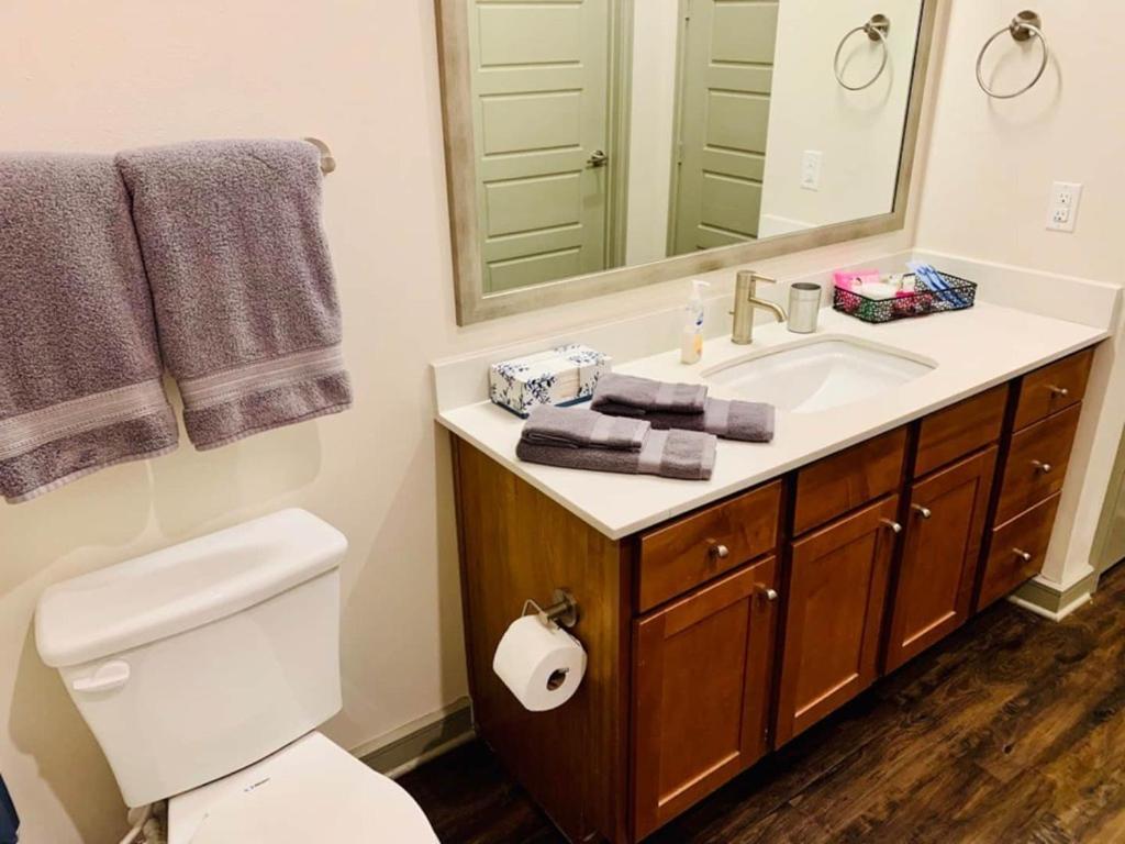 Downtown Apt Free Parking - Pool - Gym - Fully Kitchen Houston Bagian luar foto