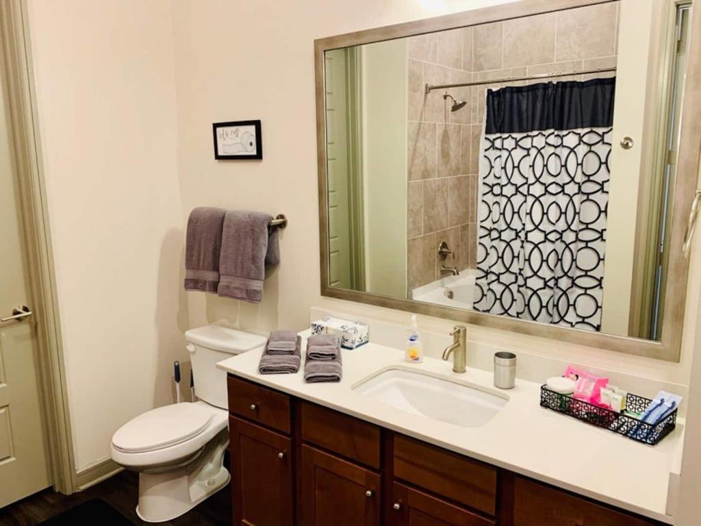 Downtown Apt Free Parking - Pool - Gym - Fully Kitchen Houston Bagian luar foto